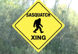 Sasquatch X-ing: Cut to the Chase