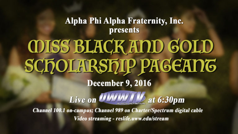 miss-black-and-gold