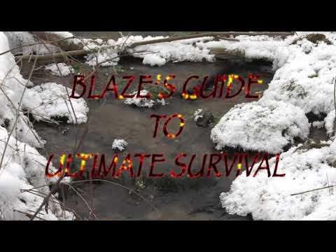 Blaze’s Guide to Ultimate Survival: What a Day for a Hike